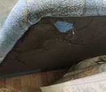 IMG_20220320_121531_680