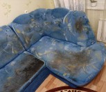 IMG_20220320_121540_934