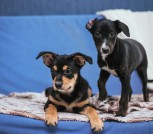 IMG_20231118_155341_257