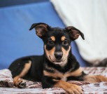 IMG_20231118_155341_569