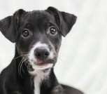 IMG_20231118_155341_674