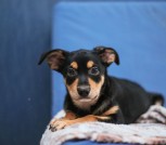 IMG_20231118_155341_787