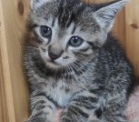 IMG-073de3fa52c8ef6a9b7c69c9dc7f01e2-V