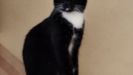 IMG_20260224_211344_977