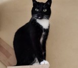 IMG_20260224_211344_977