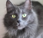 IMG_20260131_120229_165