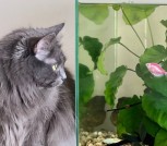 IMG_20260131_120244_556