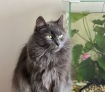 IMG_20260131_120244_589