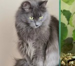 IMG_20260131_120244_710