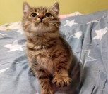 IMG-053e0ffc343c1bd63ffa3a96adbb3dea-V