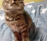 IMG-2bced340b1b2530e464b10e7cfa87e6a-V