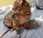 IMG-38c7e14a2831ab823823abaa2adc6d7b-V