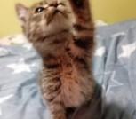 IMG-6b7d6c89e670f11d6c00d232c443e439-V