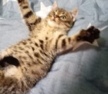 IMG-73e81f39fcfb85cdfa5d4f446f457350-V