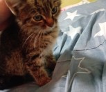 IMG-8a2585f19fb460f9eff27a4d22ae6fb8-V