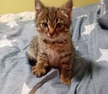 IMG-c62e1bcd7f8361994f90ca26c5665bf9-V