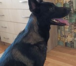 IMG-6ec5e2b06fe3ca0b75e59ef9330c1135-V