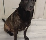 IMG-80aef429d2aede6fb9322f9131dfc844-V