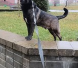 IMG-bfcfaa402e230e64bb601dd9c5a31afc-V