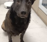 IMG-e977e300c341cbef56b3af757b0951f6-V