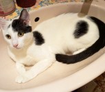 изображение_viber_2026-01-12_11-54-07-180