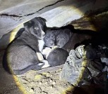 photo_2026-01-18_02-15-09