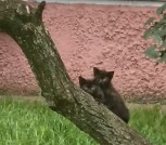 0ql2yzsMW1ZLH6BWWDa0TMbVhDOFH0MKLQQjBayFkuY8pY4F-SGSDfzMzFMzyeV3wLbng4wFISJTsOEbi2iGF0s1