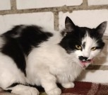 изображение_viber_2024-10-29_17-20-19-509