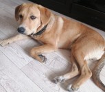 изображение_viber_2025-09-30_00-09-09-046