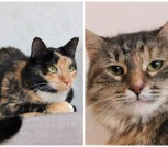 Collage_20260219_082114